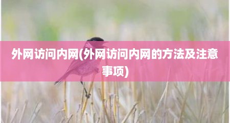 外网访问内网(外网访问内网的方法及注意事项)