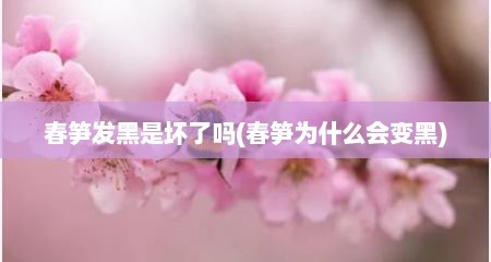 春笋发黑是坏了吗(春笋为什么会变黑)