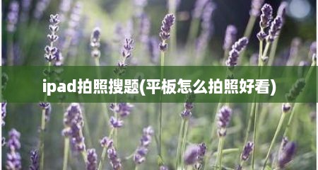 ipad拍照搜题(平板怎么拍照好看)