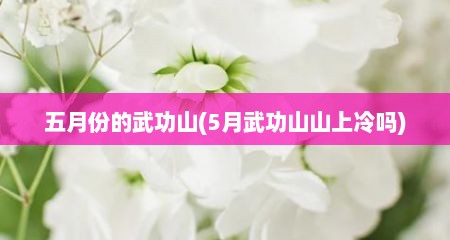 五月份的武功山(5月武功山山上冷吗)