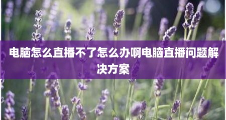 电脑怎么直播不了怎么办啊电脑直播问题解决方案