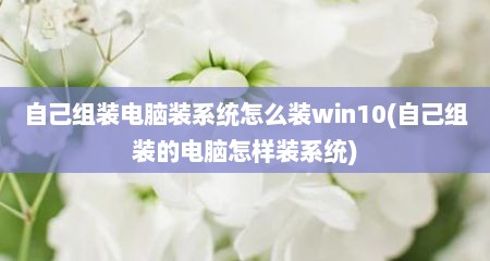 自己组装电脑装系统怎么装win10(自己组装的电脑怎样装系统)