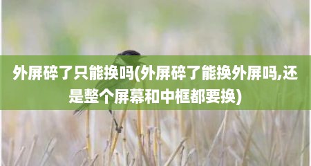 外屏碎了只能换吗(外屏碎了能换外屏吗,还是整个屏幕和中框都要换)