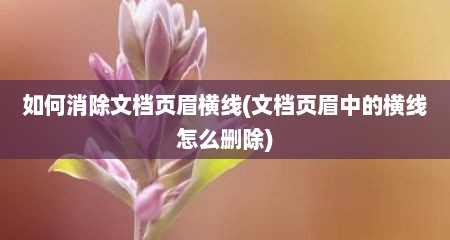 如何消除文档页眉横线(文档页眉中的横线怎么删除)