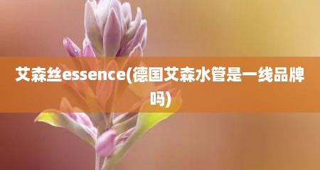 艾森丝essence(德国艾森水管是一线品牌吗)