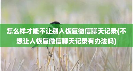 怎么样才能不让别人恢复微信聊天记录(不想让人恢复微信聊天记录有办法吗)