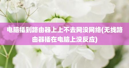 电脑插到路由器上上不去网没网络(无线路由器插在电脑上没反应)