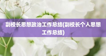 副校长思想政治工作总结(副校长个人思想工作总结)