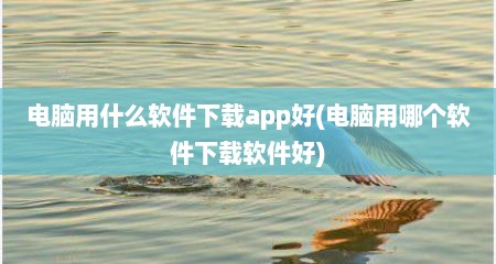 电脑用什么软件下载app好(电脑用哪个软件下载软件好)