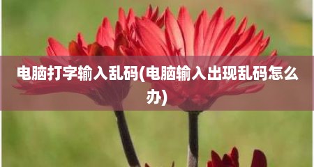 电脑打字输入乱码(电脑输入出现乱码怎么办)