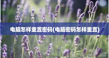 电脑怎样重置密码(电脑密码怎样重置)