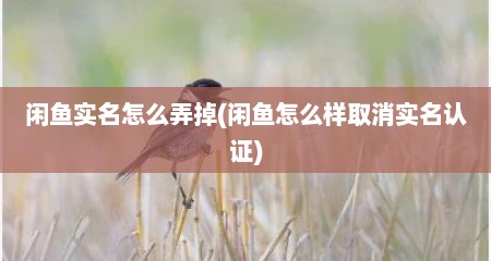 闲鱼实名怎么弄掉(闲鱼怎么样取消实名认证)