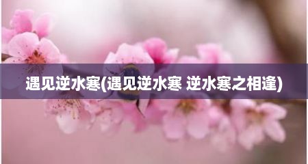 遇见逆水寒(遇见逆水寒 逆水寒之相逢)