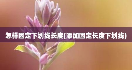 怎样固定下划线长度(添加固定长度下划线)