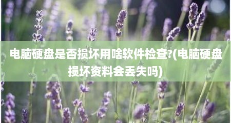 电脑硬盘是否损坏用啥软件检查?(电脑硬盘损坏资料会丢失吗)