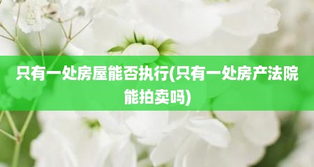 只有一处房屋能否执行(只有一处房产法院能拍卖吗)