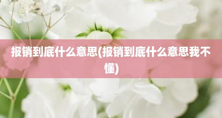 报销到底什么意思(报销到底什么意思我不懂)