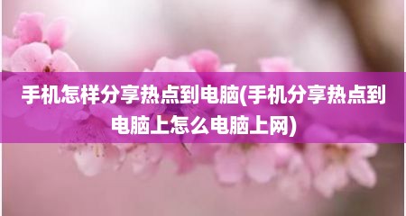 手机怎样分享热点到电脑(手机分享热点到电脑上怎么电脑上网)