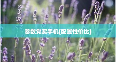 参数党买手机(配置性价比)