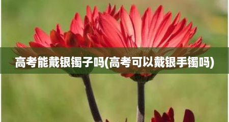 高考能戴银镯子吗(高考可以戴银手镯吗)