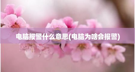 电脑报警什么意思(电脑为啥会报警)