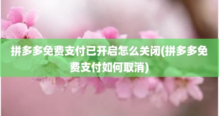 拼多多免费支付已开启怎么关闭(拼多多免费支付如何取消)