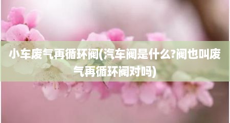 小车废气再循环阀(汽车阀是什么?阀也叫废气再循环阀对吗)