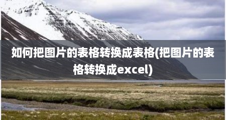 如何把图片的表格转换成表格(把图片的表格转换成excel)