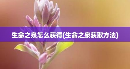 生命之泉怎么获得(生命之泉获取方法)