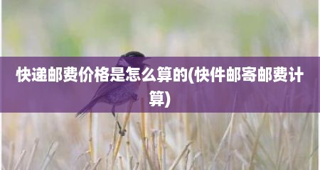 快递邮费价格是怎么算的(快件邮寄邮费计算)