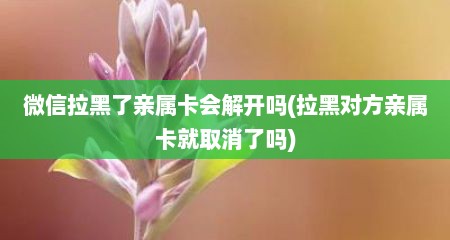 微信拉黑了亲属卡会解开吗(拉黑对方亲属卡就取消了吗)