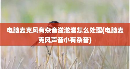 电脑麦克风有杂音滋滋滋怎么处理(电脑麦克风声音小有杂音)