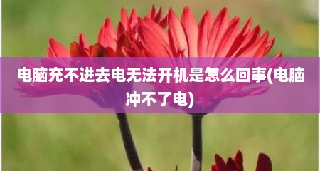 电脑充不进去电无法开机是怎么回事(电脑冲不了电)