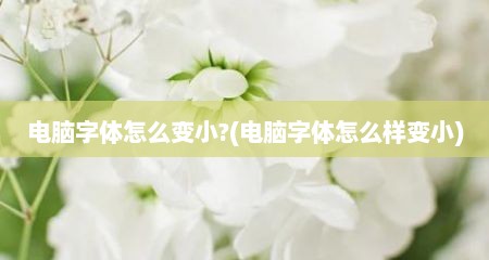 电脑字体怎么变小?(电脑字体怎么样变小)