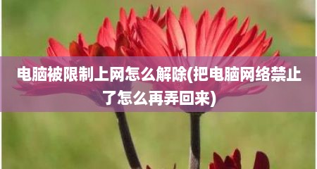 电脑被限制上网怎么解除(把电脑网络禁止了怎么再弄回来)