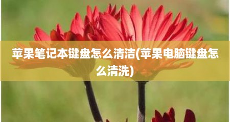 苹果笔记本键盘怎么清洁(苹果电脑键盘怎么清洗)