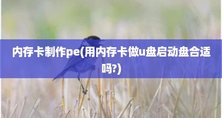 内存卡制作pe(用内存卡做u盘启动盘合适吗?)