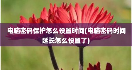 电脑密码保护怎么设置时间(电脑密码时间延长怎么设置了)