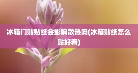 冰箱门贴贴纸会影响散热吗(冰箱贴纸怎么贴好看)