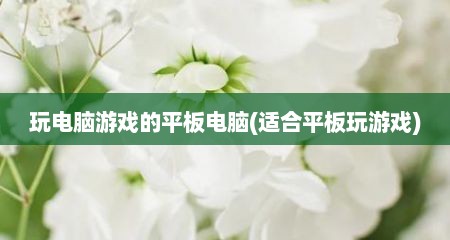 玩电脑游戏的平板电脑(适合平板玩游戏)