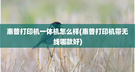 惠普打印机一体机怎么样(惠普打印机带无线哪款好)