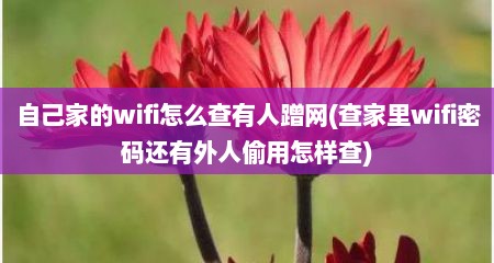 自己家的wifi怎么查有人蹭网(查家里wifi密码还有外人偷用怎样查)