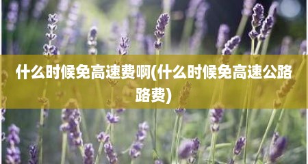 什么时候免高速费啊(什么时候免高速公路路费)