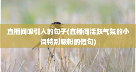 直播间吸引人的句子(直播间活跃气氛的小词特别吸粉的短句)