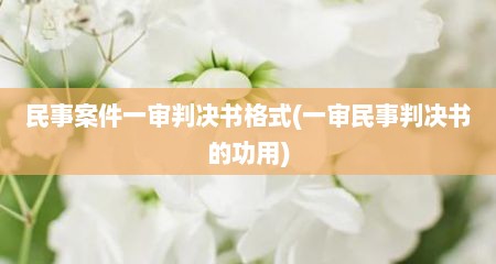 民事案件一审判决书格式(一审民事判决书的功用)