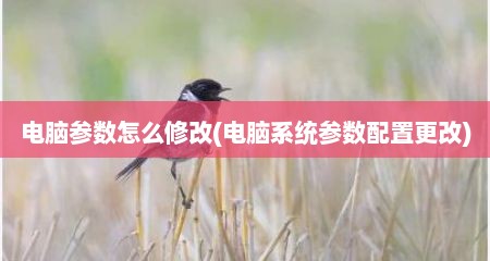 电脑参数怎么修改(电脑系统参数配置更改)