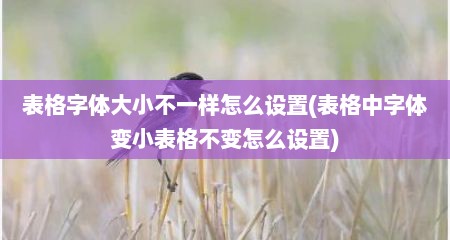 表格字体大小不一样怎么设置(表格中字体变小表格不变怎么设置)