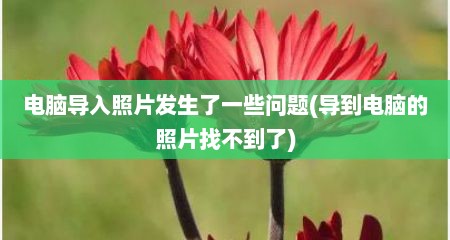 电脑导入照片发生了一些问题(导到电脑的照片找不到了)