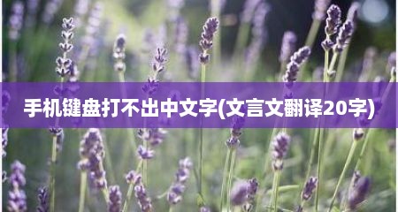 手机键盘打不出中文字(文言文翻译20字)