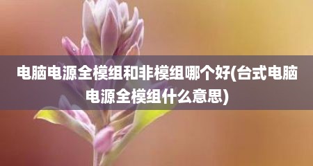 电脑电源全模组和非模组哪个好(台式电脑电源全模组什么意思)